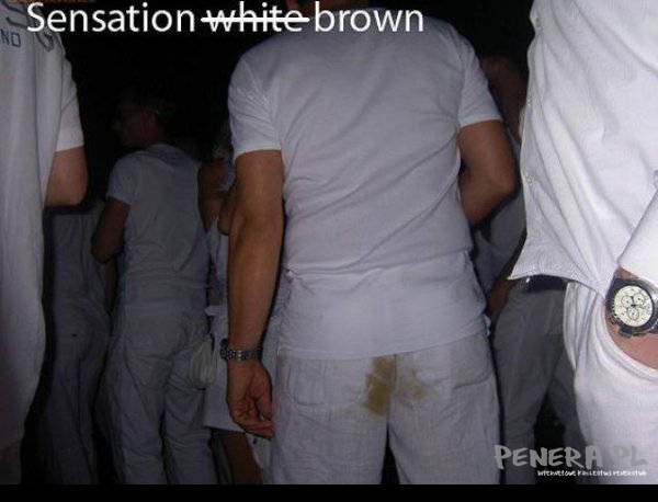 Sensation brown